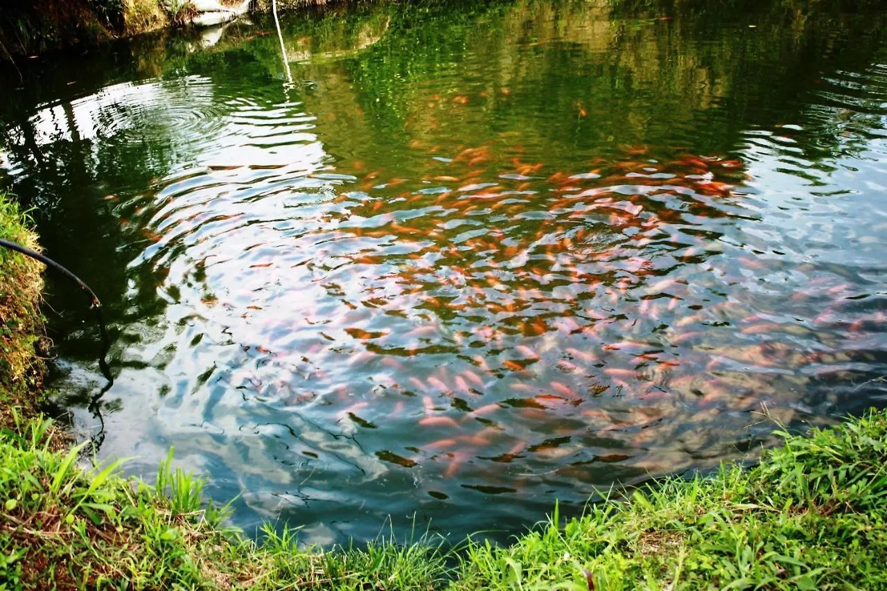 Cabañas Ecoturisticas Y Club Gaira Tayrona Santa Marta